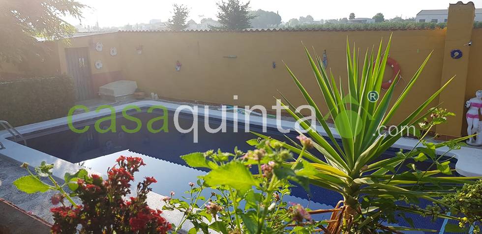 Chalet en Venta en Huerta, Dolores