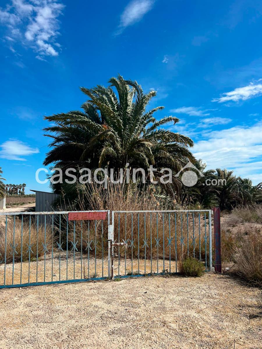 Parcela en Venta en san felipe, Crevillent