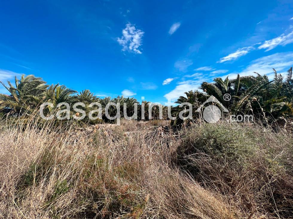 Parcela en Venta en san felipe, Crevillent